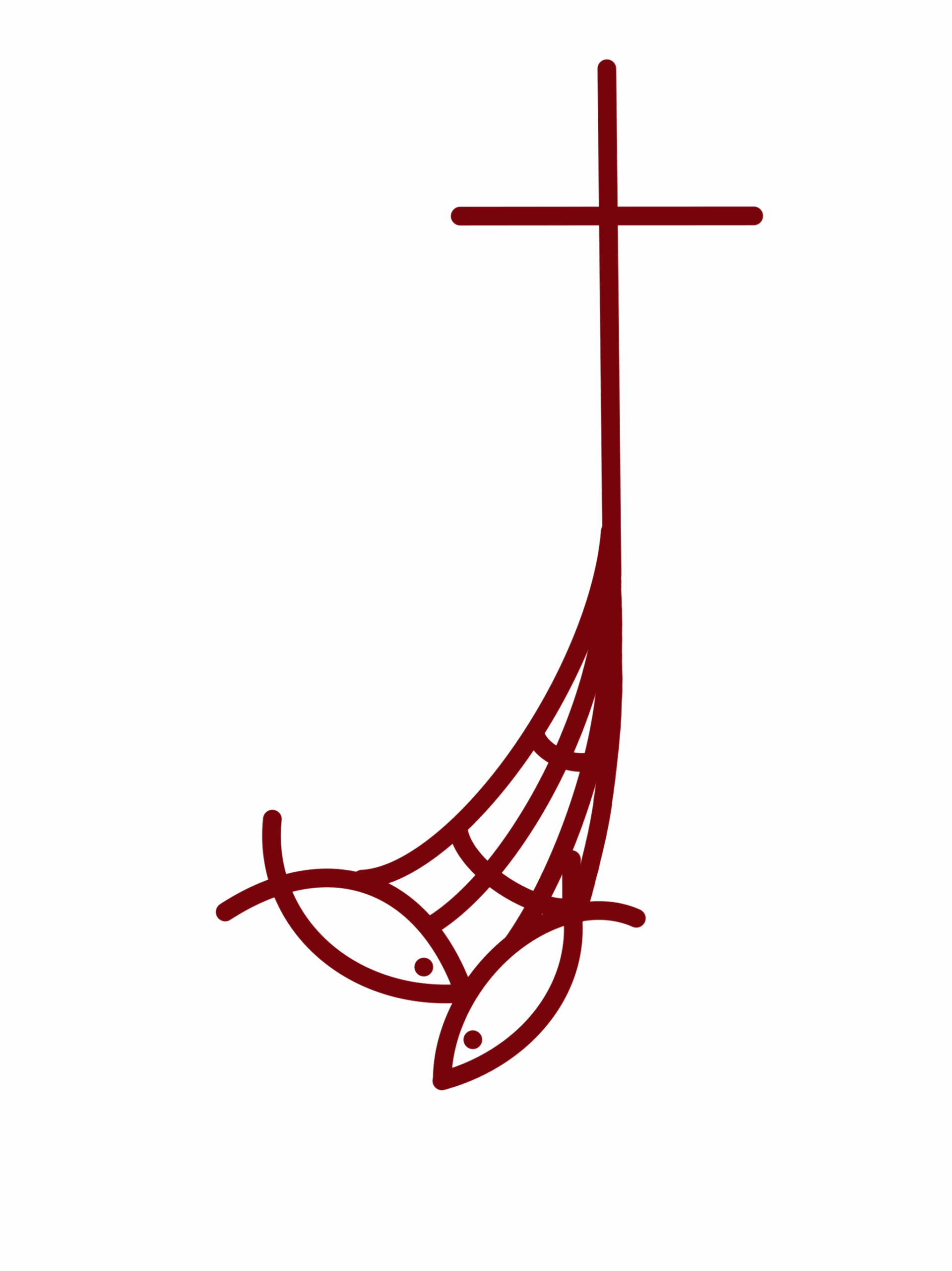 COCEDEIN Internacional